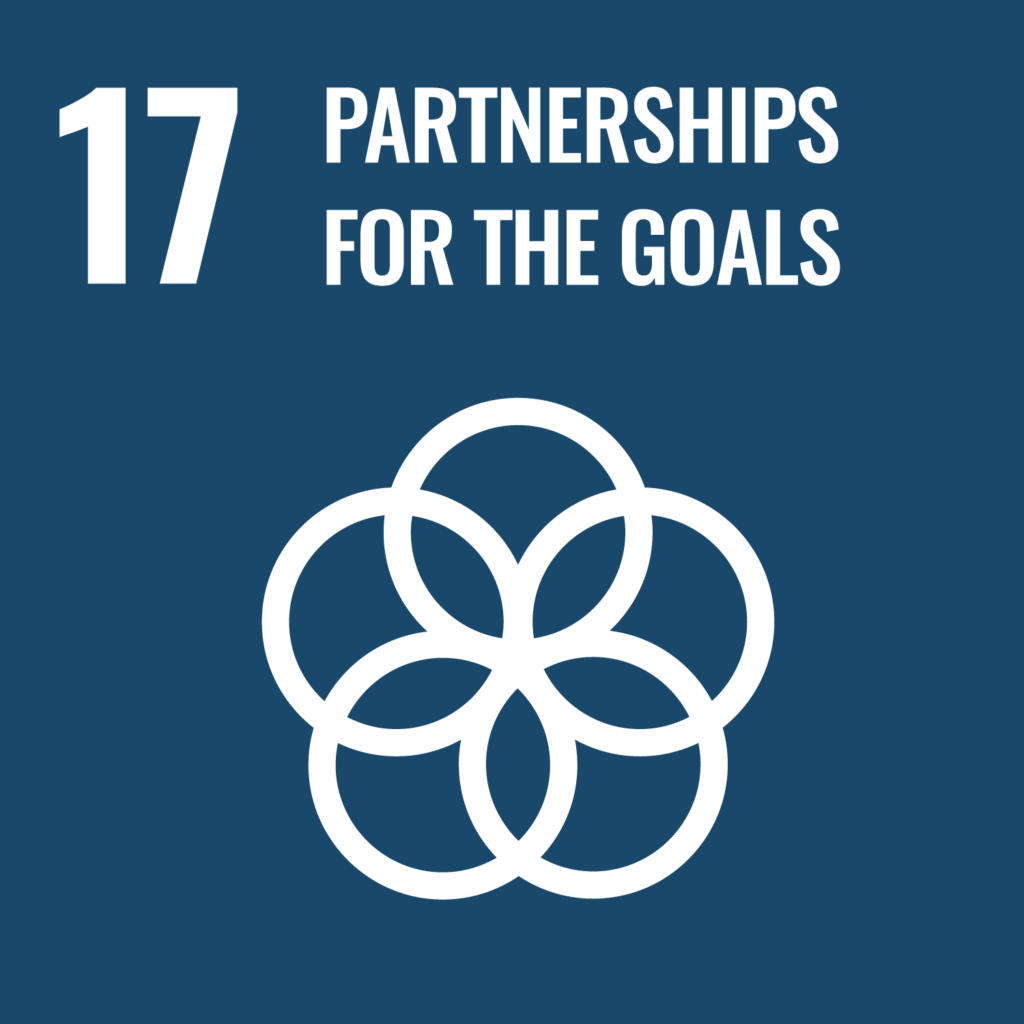 SDG 17 partnership for the goals