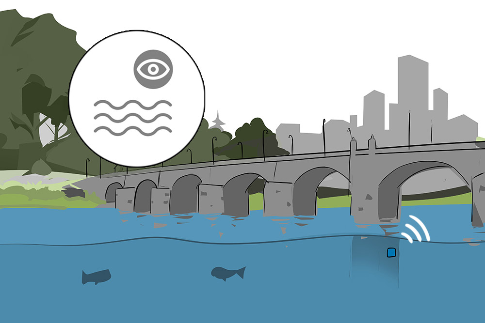 Illustration of a bridge over a river and an icon with waves and a monitoring eye