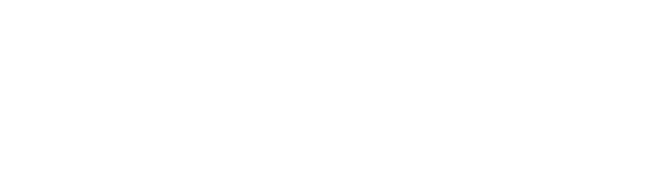 Logo asvin